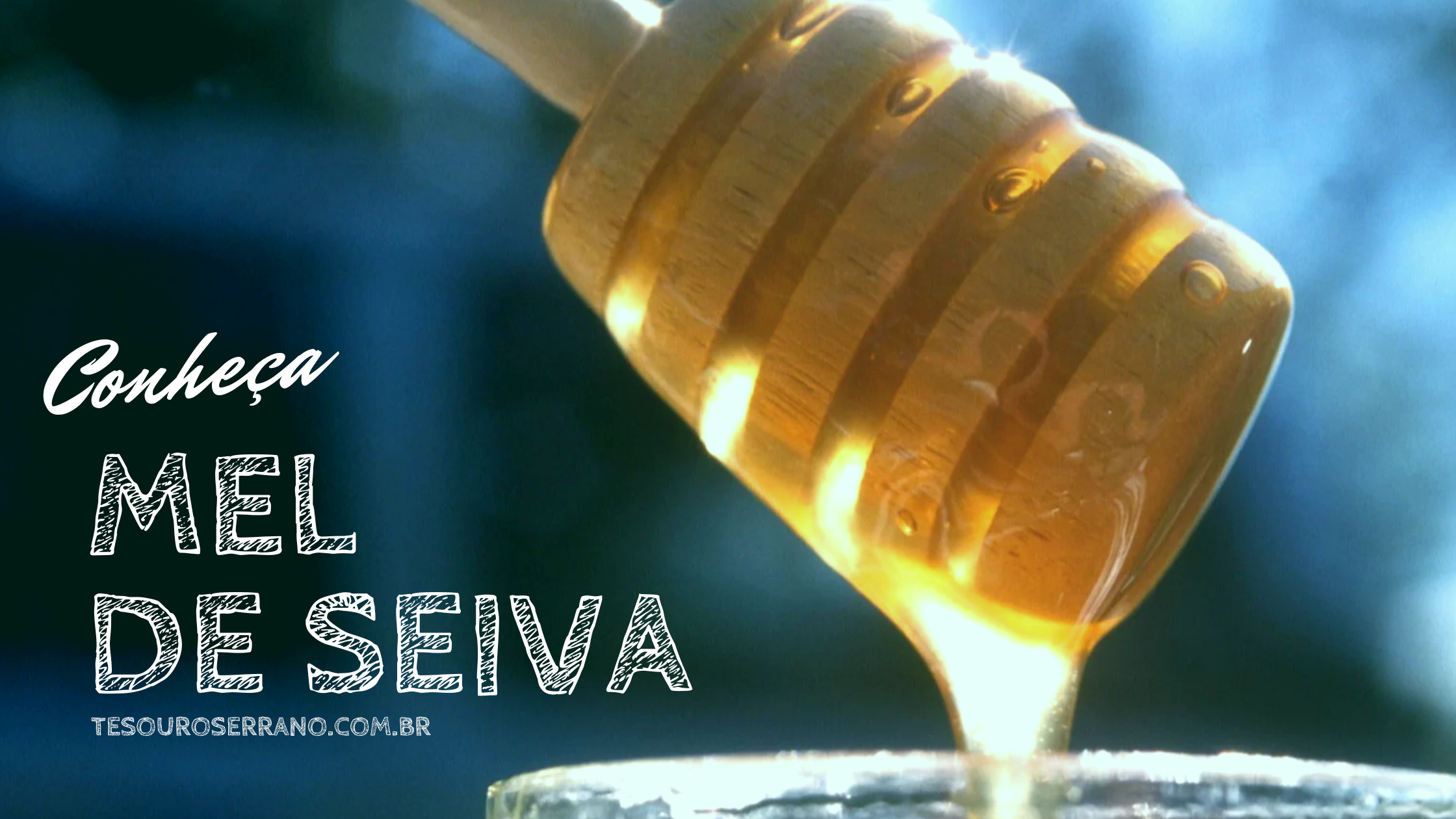 Honey Photo Blog Banner